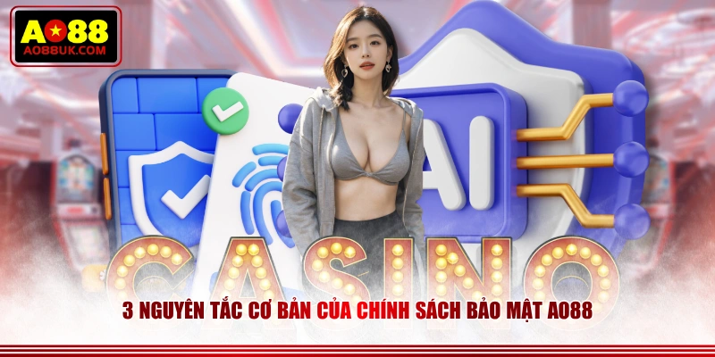  3 nguyên tắc cơ bản của chính sách bảo mật AO88