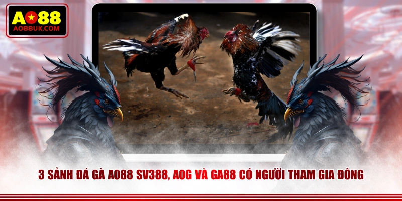 3 sảnh Đá Gà AO88 SV388, AOG và GA88 có người tham gia đông