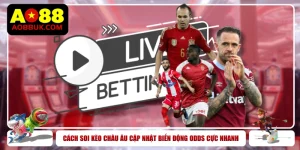 Cách Soi Kèo Châu Âu Cập Nhật Biến Động Odds Cực Nhanh