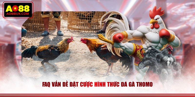 FAQ vấn đề đặt cược hình thức đá gà Thomo