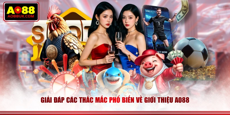 Giải đáp các thắc mắc phổ biến về giới thiệu AO88