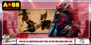 Xem Đá Gà Campuchia Kịch Tính, Cơ Chế Vận Hành Khắt Khe