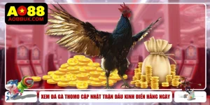 Xem Đá Gà Thomo Cập Nhật Trận Đấu Kinh Điển Hằng Ngày